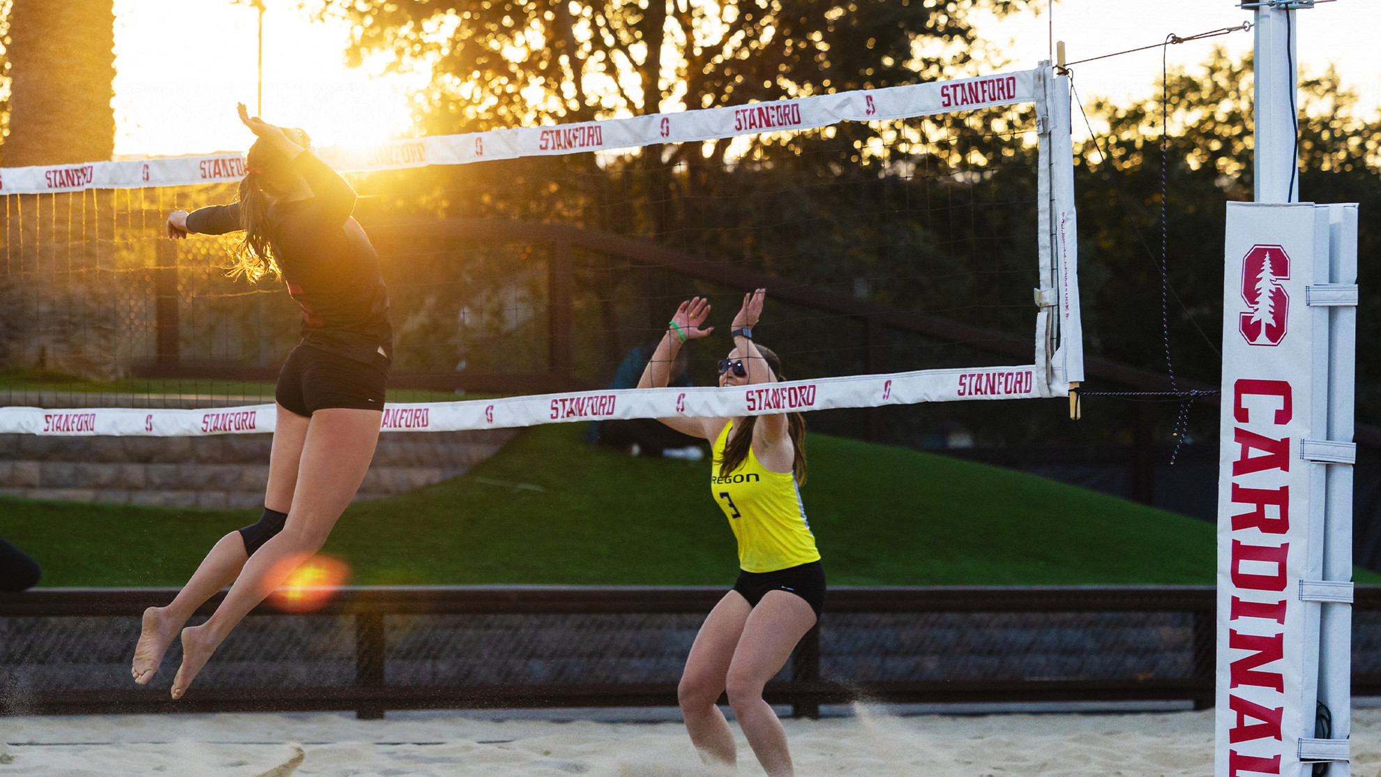 No. 2 Beach Volleyball is Hawaii Bound to Kick Off 2026 Campaign