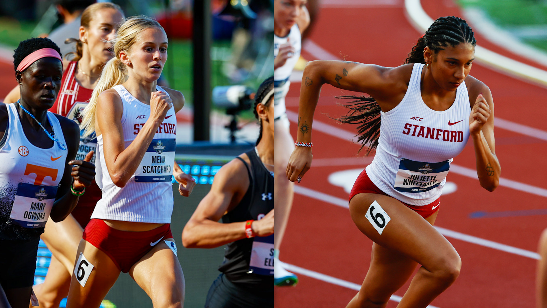Scatchard, Whittaker Earn Academic All-America Honors