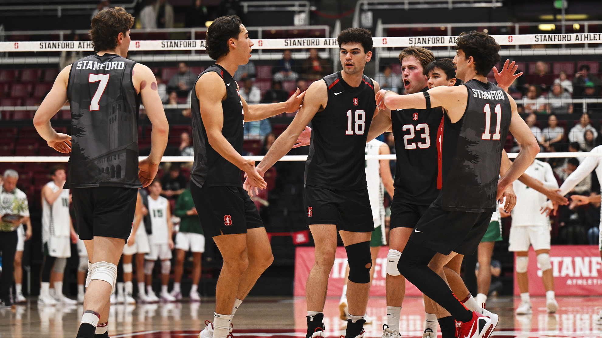 Stanford Falls to Hawaii