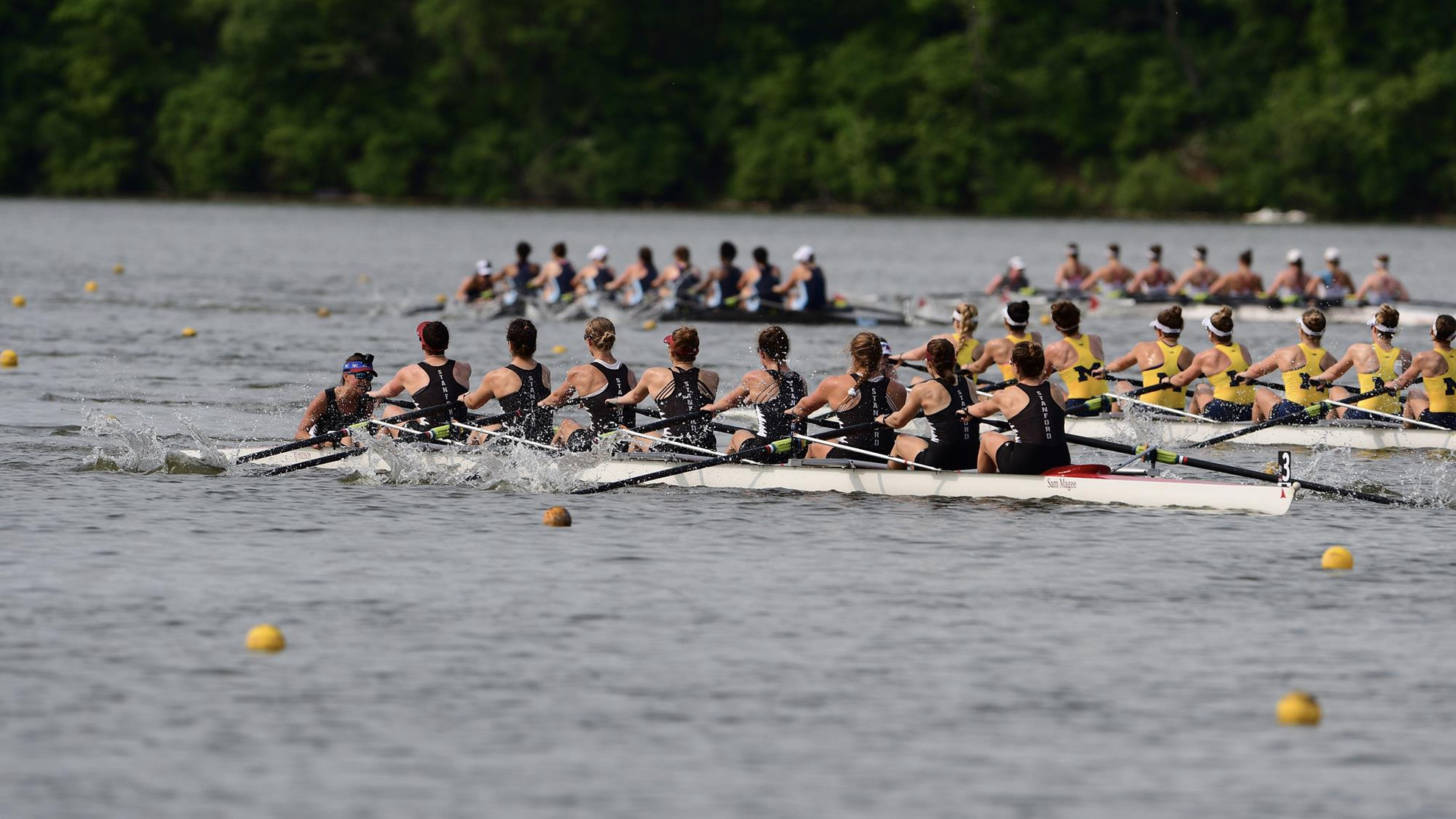 Heat Winners - Stanford Cardinal - Official Athletics Website