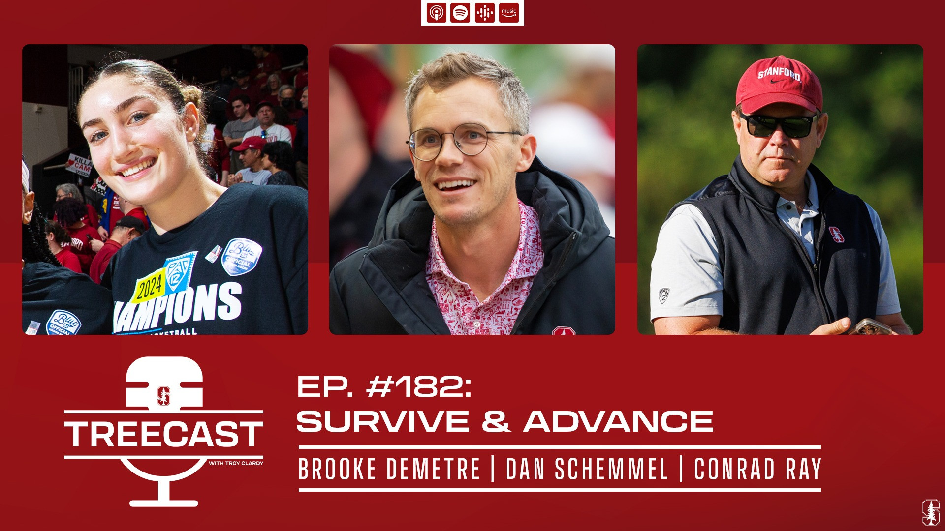 The TreeCast Episode 182: Survive & Advance - Stanford Cardinal ...