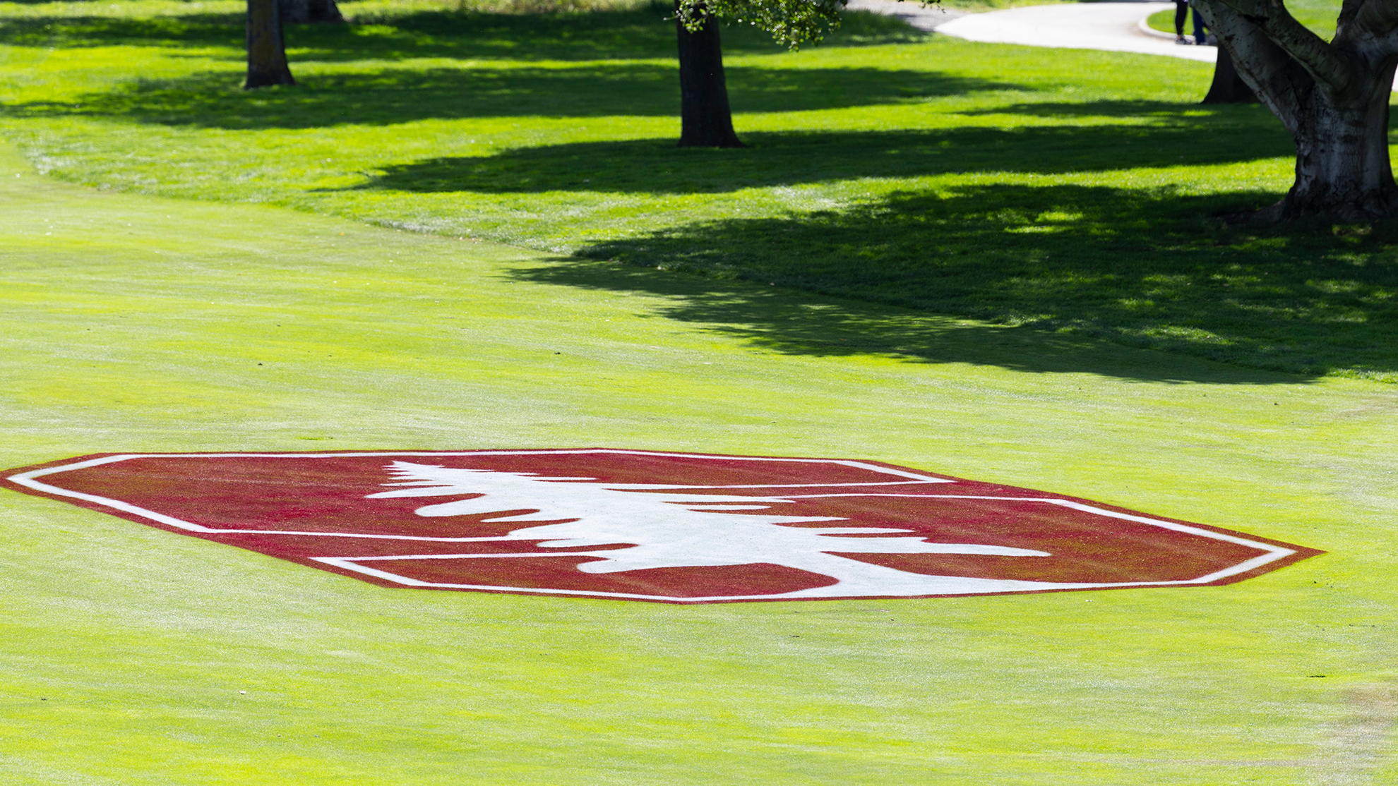 GCAA Names All-American Scholars