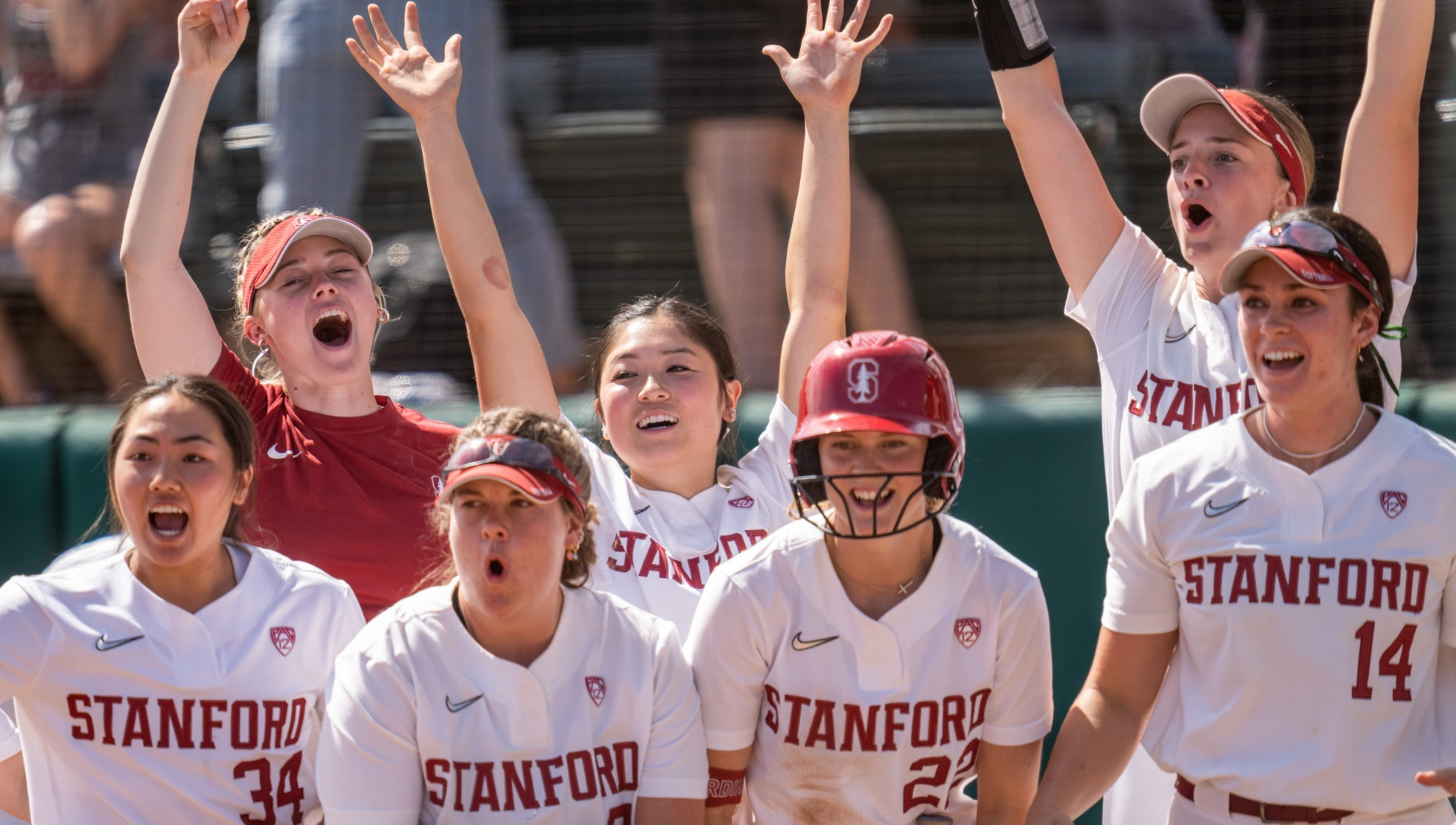 Softball 2025 Stanford Cardinal Official Athletics Website