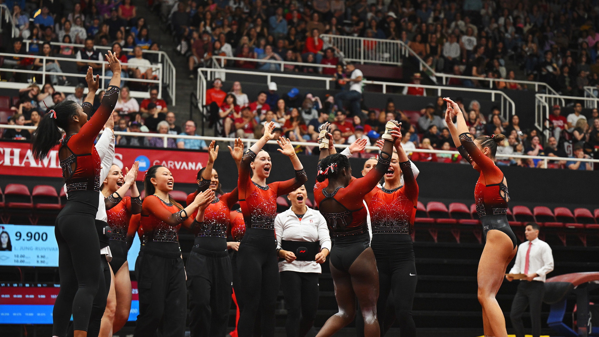 No. 10 Stanford Records Season-High Home Score Despite Loss to No. 5 UCLA