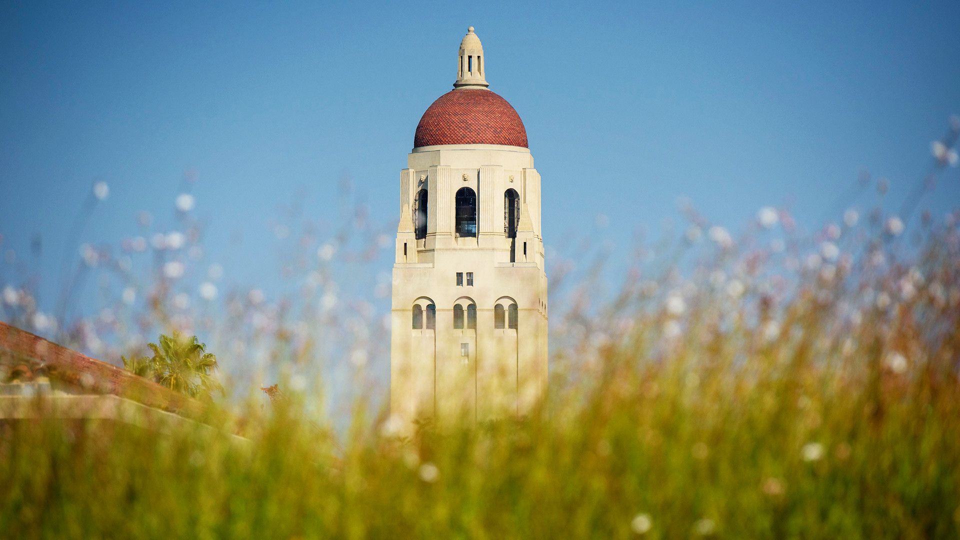 Stanford Cardinal - Official Athletics Website
