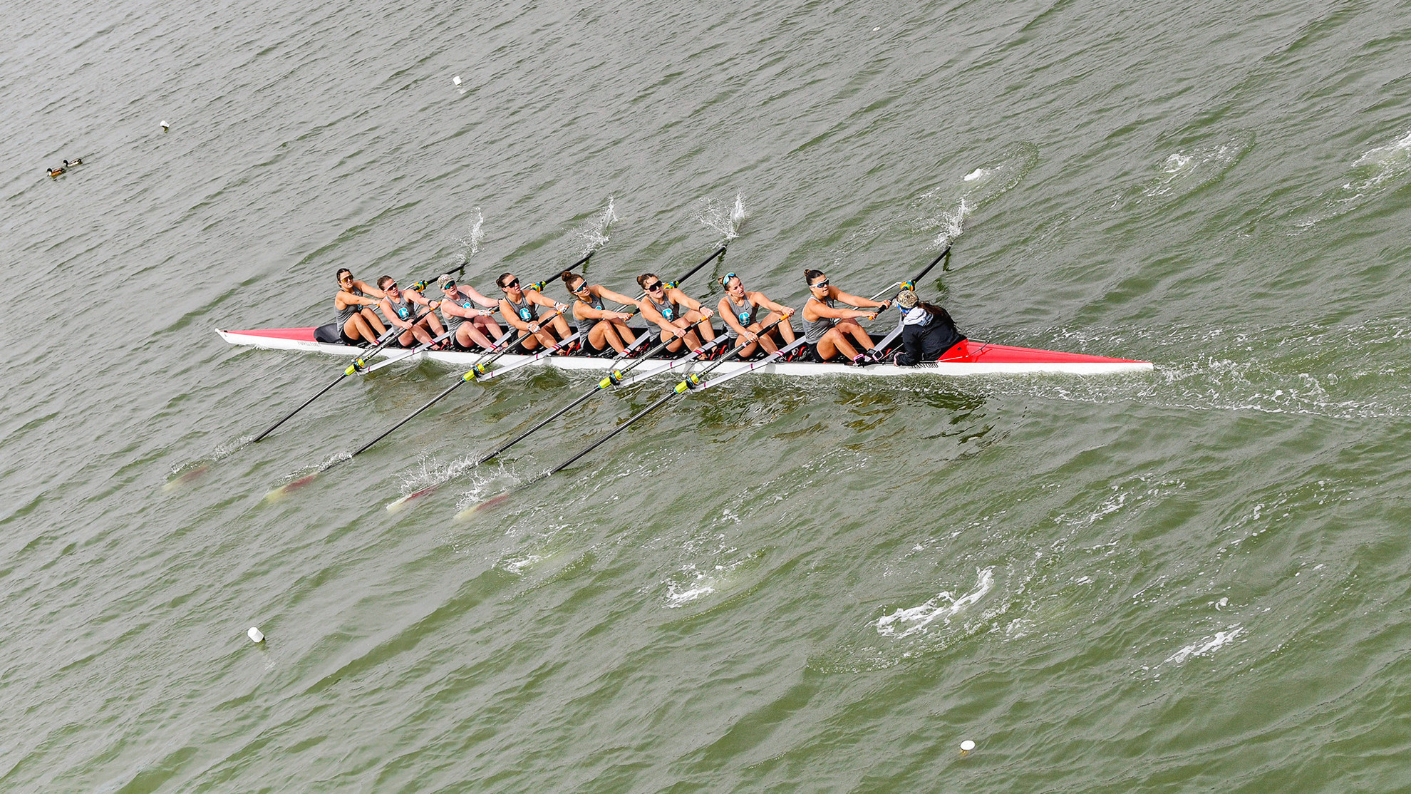 Stanford Rower Stanford Women's Rowing Dominates at San Diego Fall Classic - Stanford ...