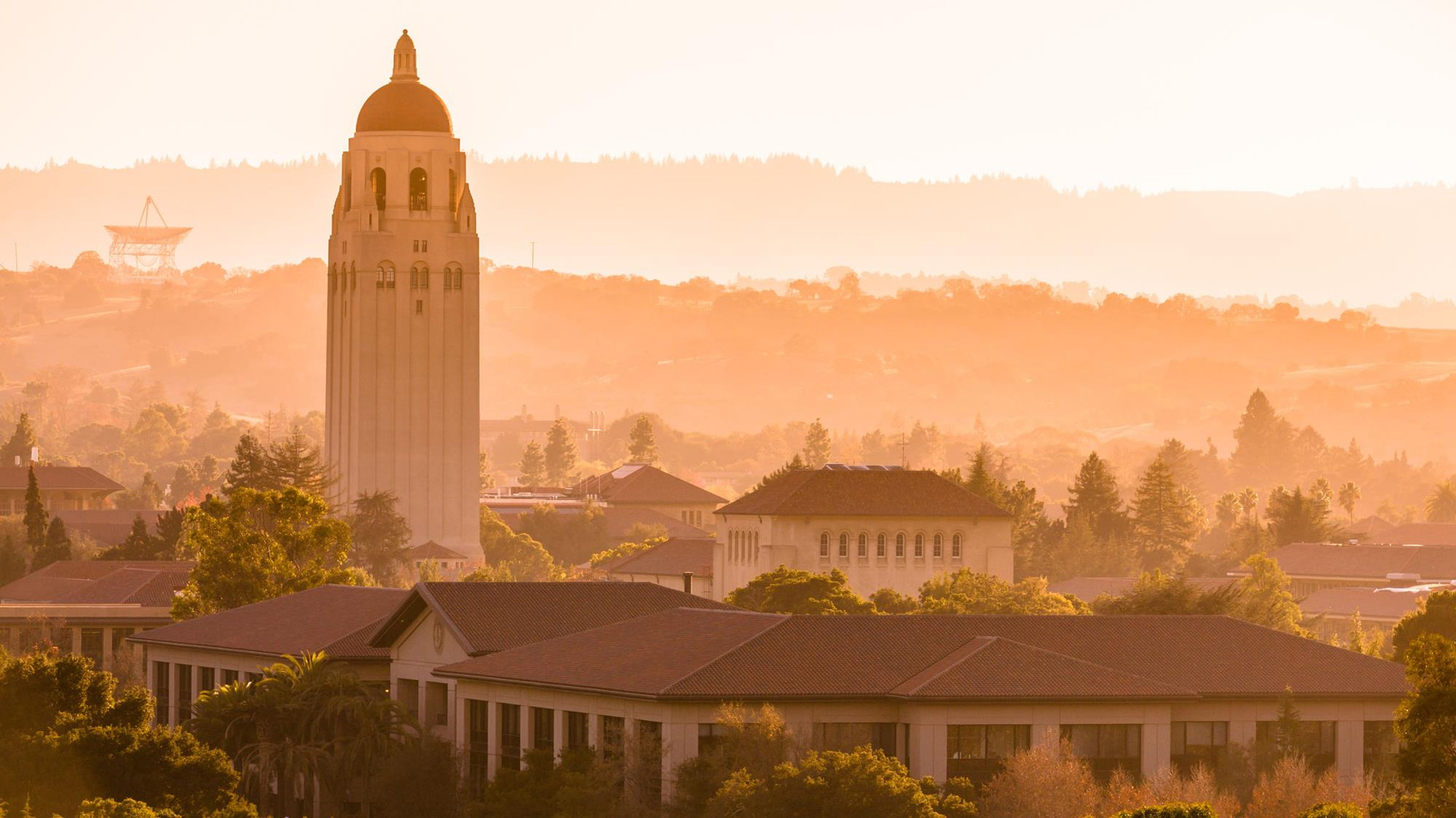 Cardinal Green Stanford Cardinal Official Athletics site