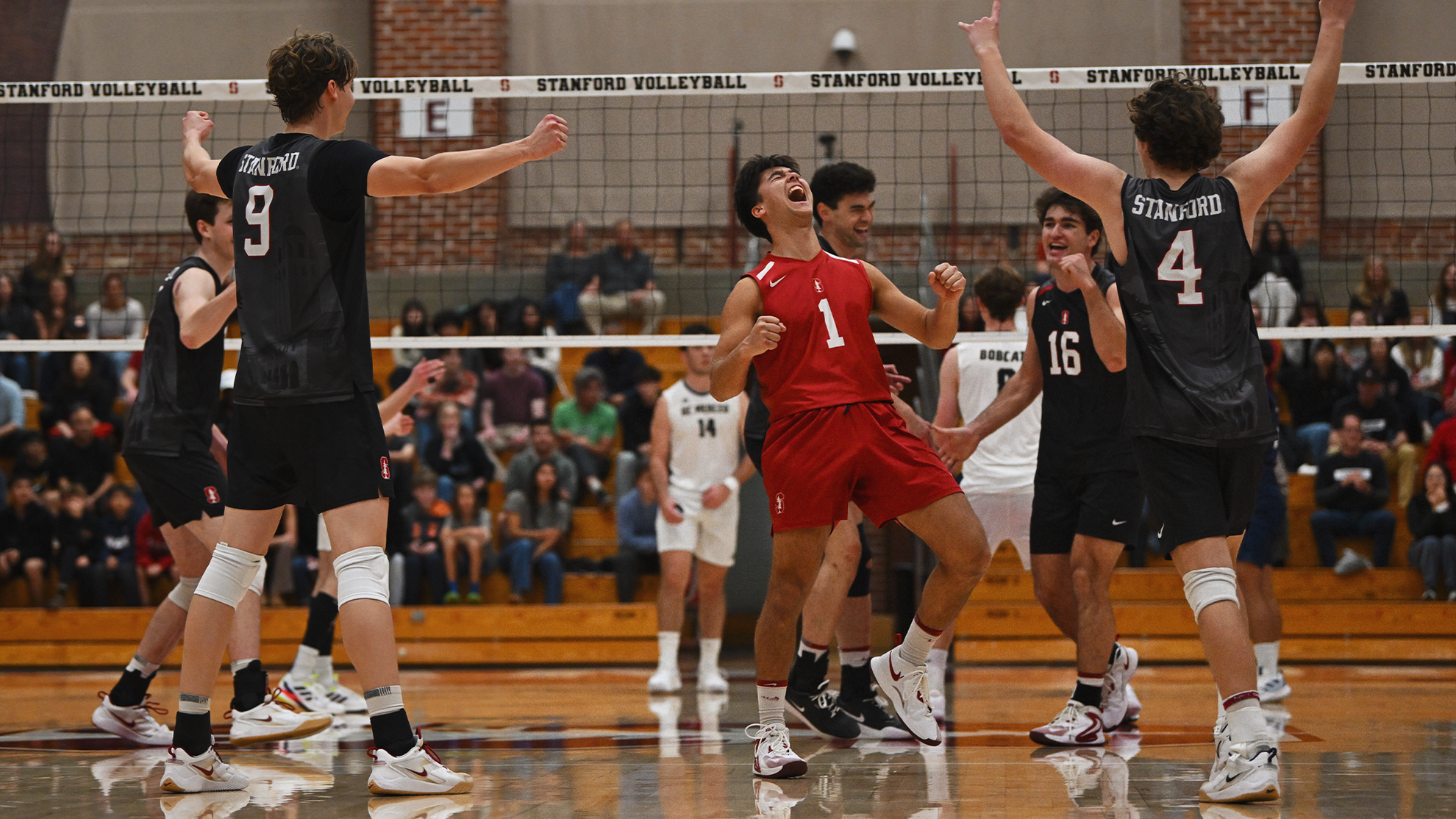 Stanford Downs UC Merced