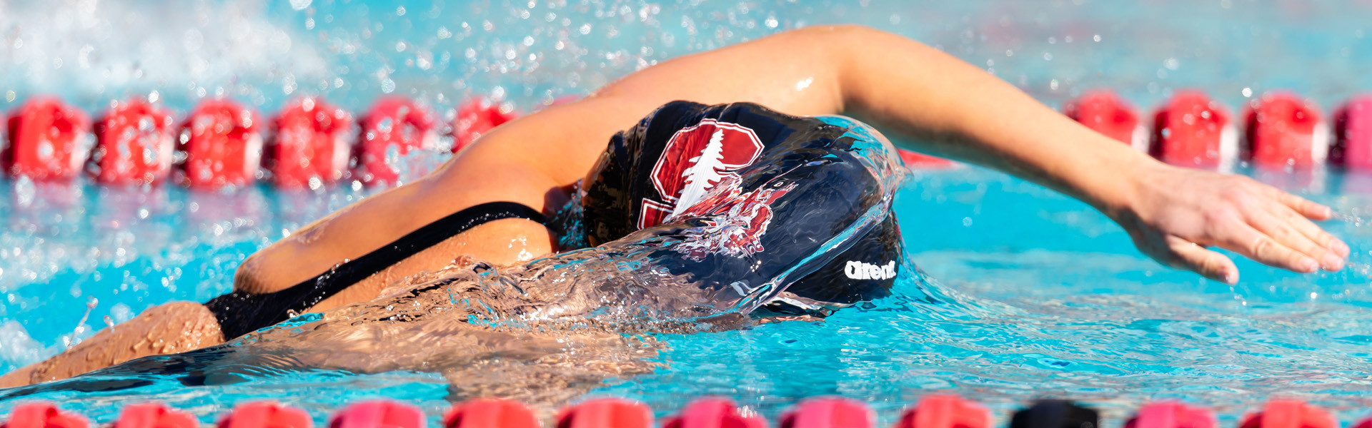 wswim.jpg Women's Swimming & Diving 2025-26