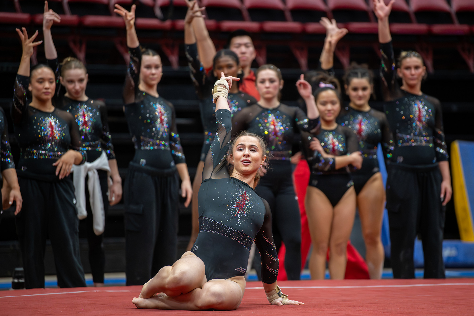 Gallery: Stanford vs. Pittsburgh - Stanford Cardinal - Official ...