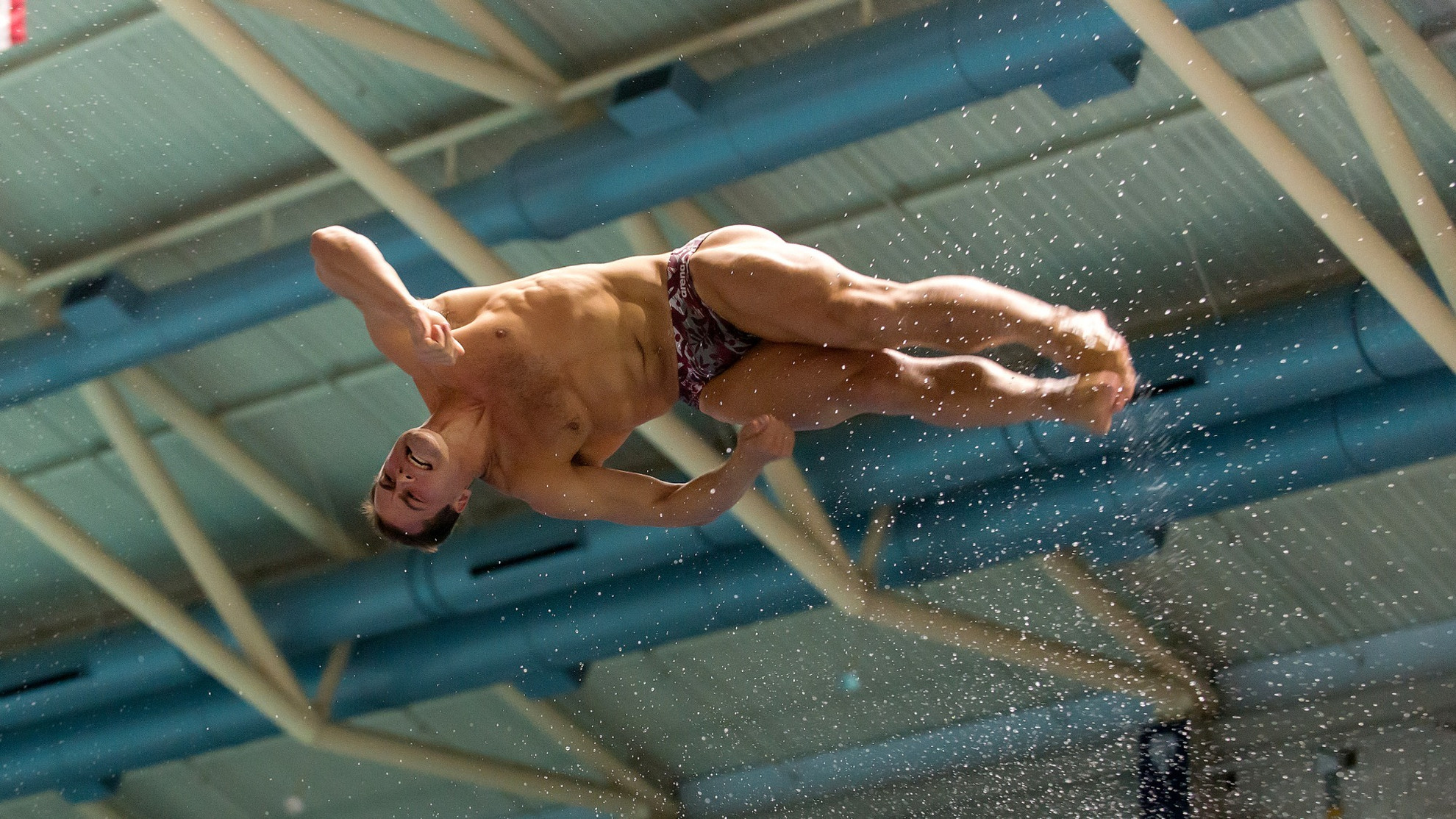 Men's Swimming and Diving: Season in Review - Stanford Cardinal ...