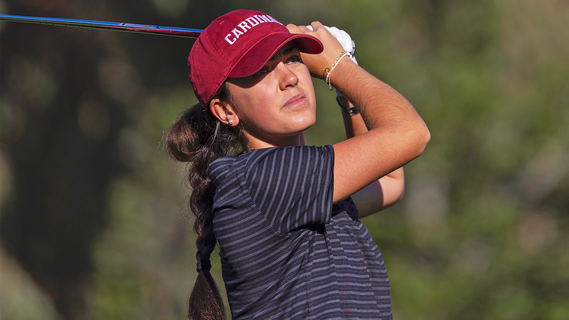 Spring Begins in Tucson